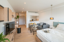 Wilhelmin - Studio Apartment